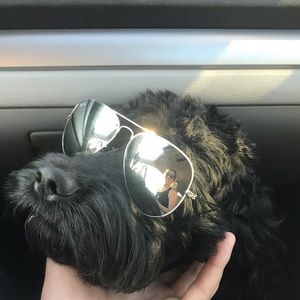 Meet your Posher, Grayson